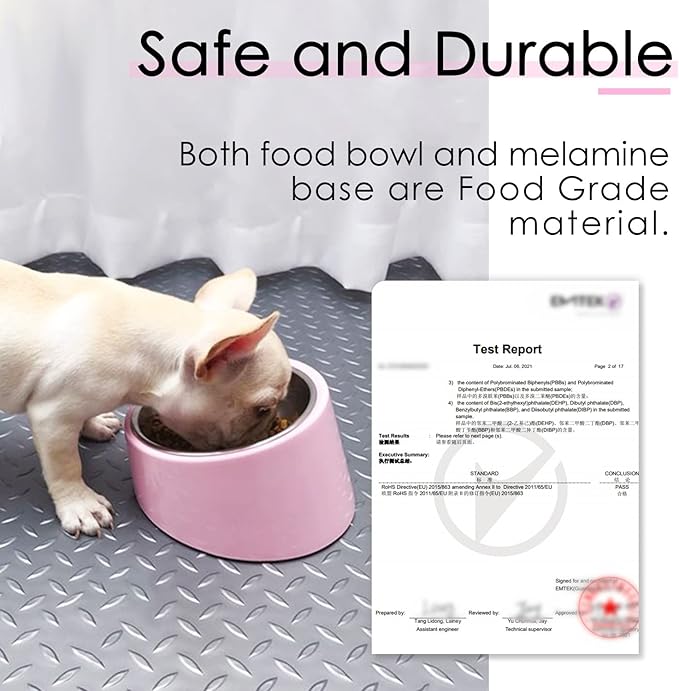SuperDesign Mess Free 15° Slanted Bowl for Dogs and Cats, Tilted Angle Bulldog Bowl Dog Feeder, Non-Skid & Non-Spill, Easier to Reach Food L/2 Cup Pink