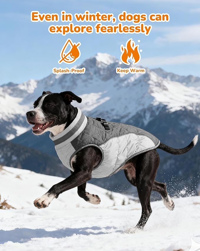 Dog Coat for Medium Dogs, Adjustable Dog Jackets for Cold Weather, Reflective Winter Coat with Built-in Harness, Snowsuit Fits Dogs 14-25 lbs and Up, Size M Black
