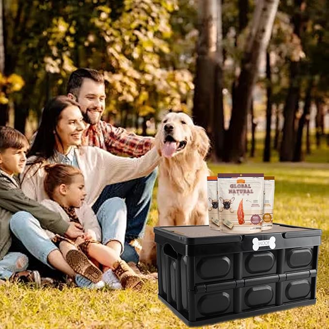 Morezi Outdoor dog toy bin chew proof box storage in plastic foldable designed dog stuff organizer great for pet food organizing toys leashes clothing in outside black