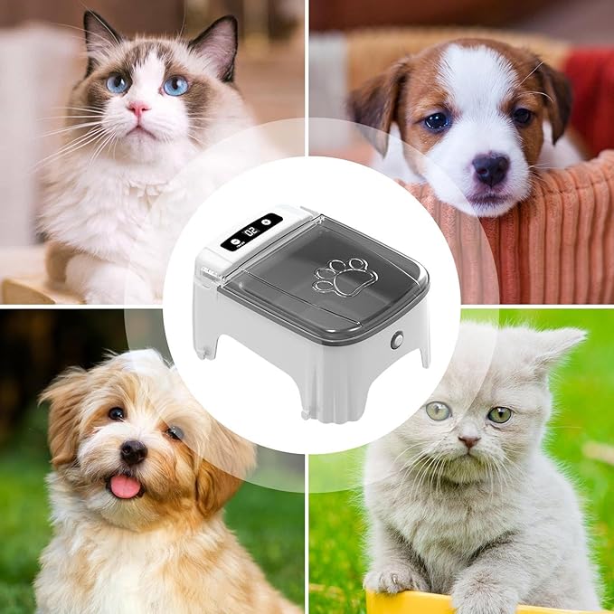 Automatic Cat Feeder - Programmable Timed Pet Dispenser, Sensor Activated Dry Food Bowl with Portion Control System, Sturdy Sealed Storage Container, Ideal for Small Dog Indoor Feeding