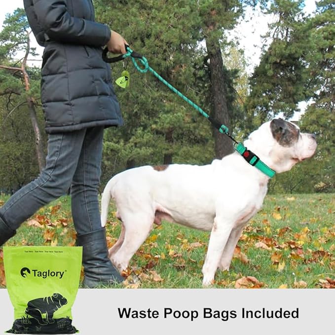 Taglory Rope Dog Leash 4 FT with Comfortable Padded Handle, Highly Reflective Threads Leash for Medium Large Dogs, 1/2 inch, Turquoise
