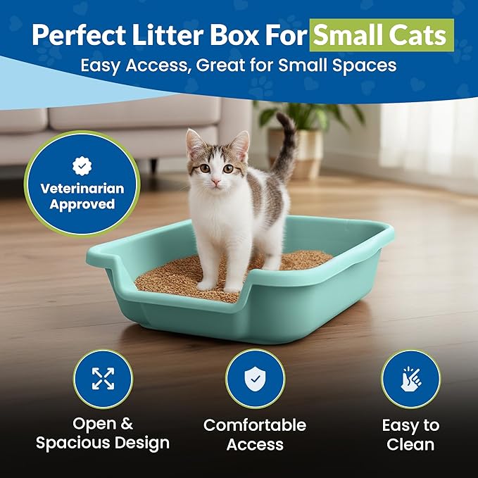 KittyGoHere Senior Cat Litter Box, Small Litter pan with Long-Handle Jumbo Scoop, Open Top Low Entrance Kitty Litter Box, Lightweight Low Entry Litters Box, Durable, Made in USA (Apple Green)