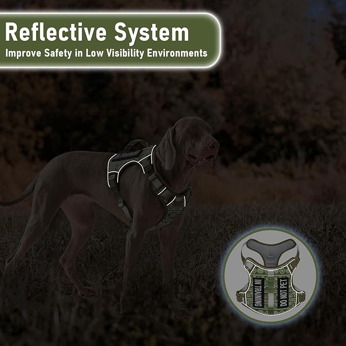 Service Dog Vest Harness with 2 Velcro Patches, No Pull Dog Harness for Walking Training Hiking, Metal D-Rings Easy on/Off Neck Buckle Reflective Strips Soft Padded Handle, Green