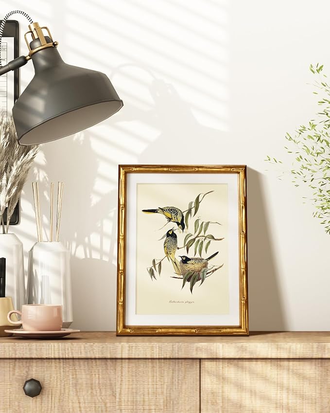 HUARCEY Antique Style Bird Botanical Wall Art 11x14, Classic Gold Framed Canvas Warty-faced Honey-Eaters Illustration, Traditional Vintage Nature Artwork Bedroom Office Study Cottagecore Decor