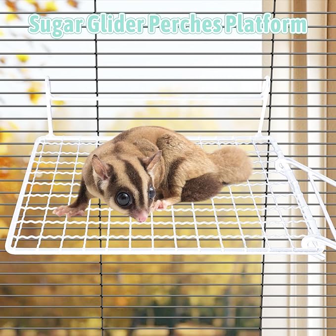 BNOSDM Rat Cage Platform with Ladder 4 PCS Small Animals Cage Accessories Metal Guinea Pig Climbing Toy for Sugar Glider, Chinchillas, Squirrel, Gerbils, Mouse Standing Jumping