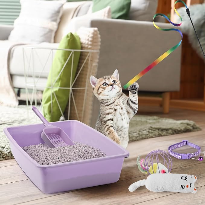 7 Pcs Small Cat Kitten Starter Kit Cat Litter Box with Shovel Paw Litter Mat Double Automatic Kitten Bowls Toy Teaser Stick Collar Essentials Kits for 1-3 Lbs Beginner(Simple,Purple)
