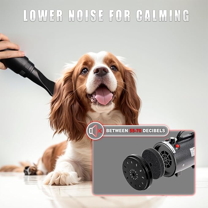 Dog Hair Dryer High Velocity Professional Dog Blow Dryer with Adjustable Speed Dog Pet Grooming Dryer Blower with 4 Nozzle 2 Blow Temperature（Black）