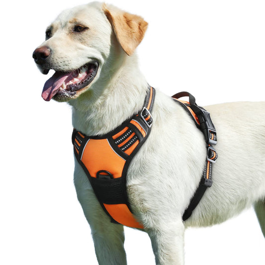 Eagloo Dog Harness for Large Dogs, No Pull Pet Vest with 2 - Image 1