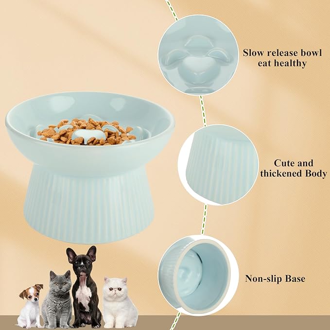 2 Pack Raised Cat Slow Feeder, Elevated Slow Feed Dish for Cats and Small Dogs, Ceramic Slow Feeder Cat Bowl, No Spill High Edge for Dry/Wet Food(Blue, Green)