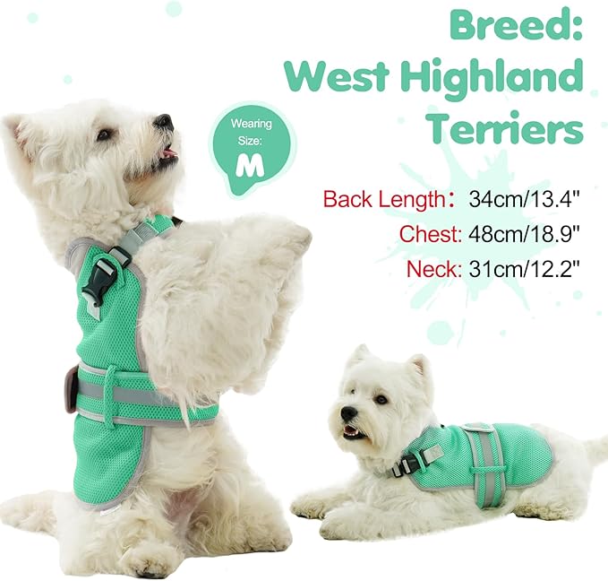 Cooling Vest for Small Dog,Lightweight Cooling Dog Jacket,Breathable Mesh Dogs Shirt Harness Vest with Adjustable Straps Reflective Stripe for Hot Weather with D-ring for Beach,Hiking,Walking,S