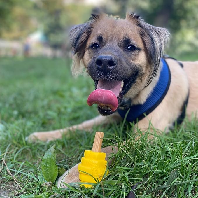 PROJECT HIVE ·PET COMPANY· - Hive Chew Toy for Small Dogs - Dog Chew Toy for Puppies and Small Breeds - Floats in Water - Durable and Tough - Made in The USA