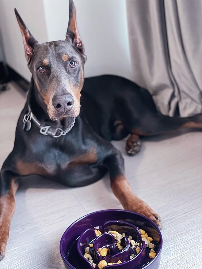 LE TAUCI Dog Slow Feeder Bowl Ceramic, 3 Cups Slow Feeding Dog Bowl Medium Large Breed, Maze Dog Bowl for Fast Eaters, Dog Dishes to Slow Down Eating, Puzzle Dog Food Bowl, Dog Maze Bowl