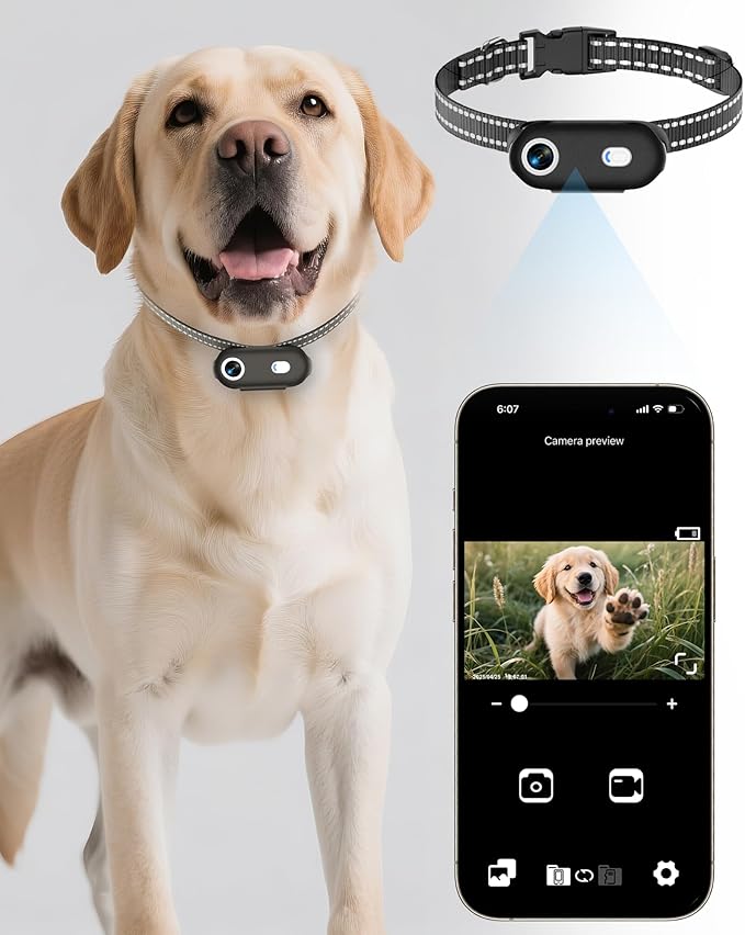 Dog & Cat Camera Collar with Phone APP, 1080P HD Video Recording, XS/M-Size Pet POV Cam for Dogs & Big Cats, Cordless Pet Collar Cameras with APP Viewing (M-Collar)