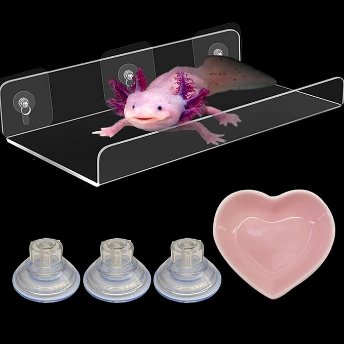 Axolotl Hammock Ledge for Aquarium Tank Accessories and Feeding Dish, Axolotl Hammock with Ceramic Tray Feeder Bowl, Axolotls Accessories for Tank, Bearded Dragon Reptiles Supplies (Pink, 12x6 in)