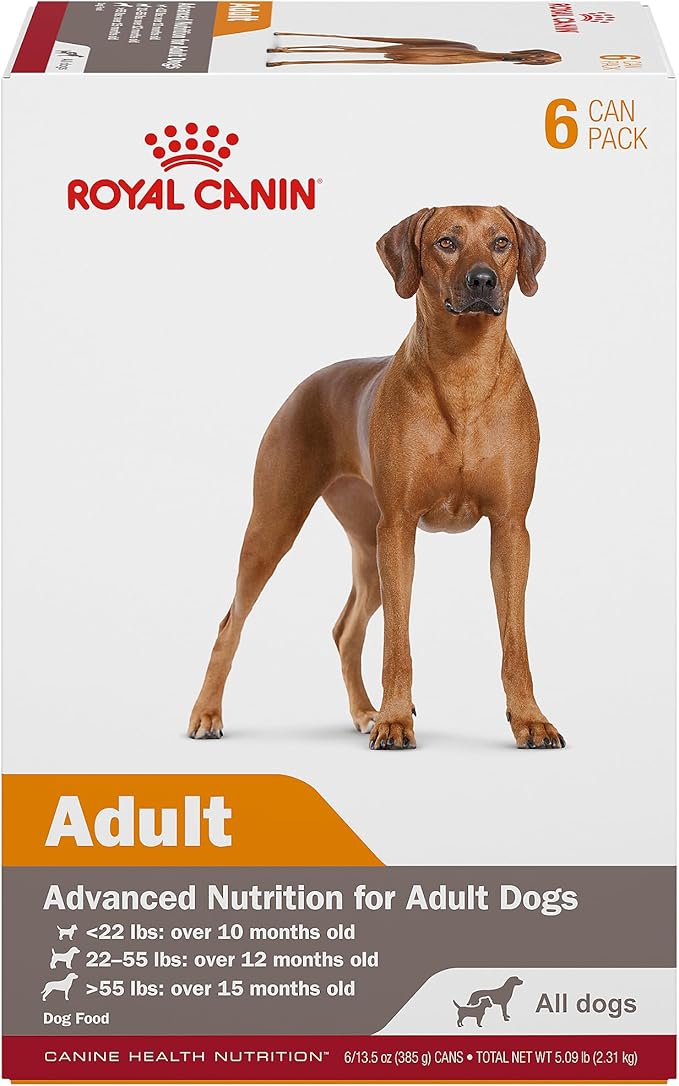 Royal Canin Canine Health Nutrition Adult In Gel Dog Food, 13.5 oz (Pack of 6)