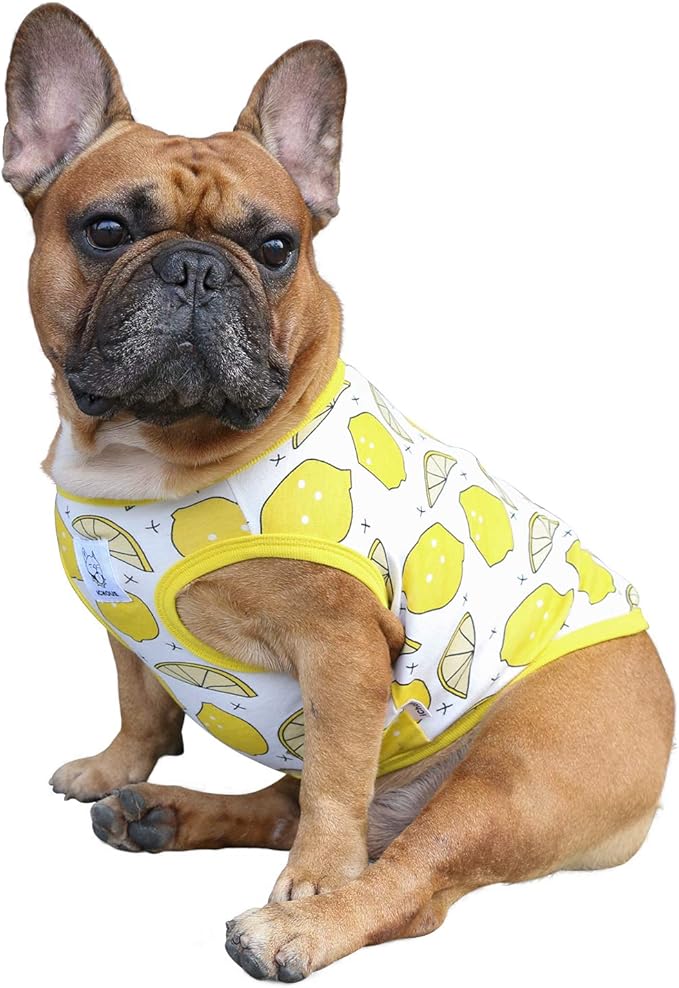 iChoue 100% Breathable Cotton Pug Halloween Cartoon T Shirts Cute Clothes for Dogs Vest Tank Tops Puppy French Bulldog Frenchie English Boston Terrier Lemon - Small