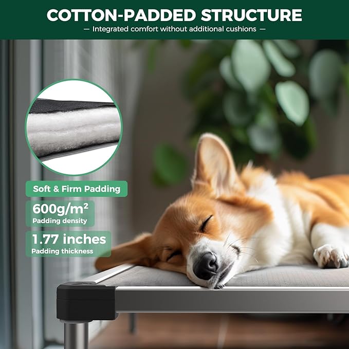 FXW TitanNest Chew-Proof Elevated Dog Bed, Raised Cot for Indoor/Outdoor/Camping Use, Durable & Washable Padded Pet Bed with Exclusive Cover for Medium Dogs, 42.0" L x 27.0" W x 5.0" H, Gray