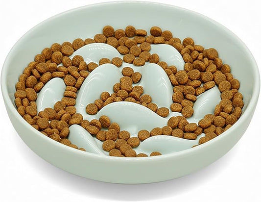 Anti-Bloat Ceramic Slow Feeder Bowl - Fish Pool Design Interactive Puzzle Feeder for Cats & Small Dogs, Food-Safe Porcelain Healthy Eating Dish (Green-Ceramic)