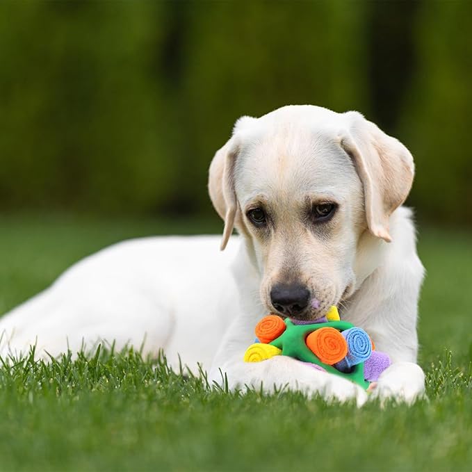awakentti Puppy Chew Toys, Dog Treat Dispenser Toy, Pet Anxiety Relief and Calming Aid, Puppy Teething Toys for Small Medium Dogs (B)