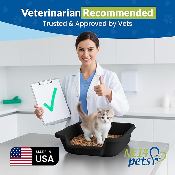 KittyGoHere Senior Cat Litter Box, Small Litter pan, Open Top Low Entrance Kitty Litter Box, Lightweight Low Entry Litters Box, Durable, Made in USA (Black)