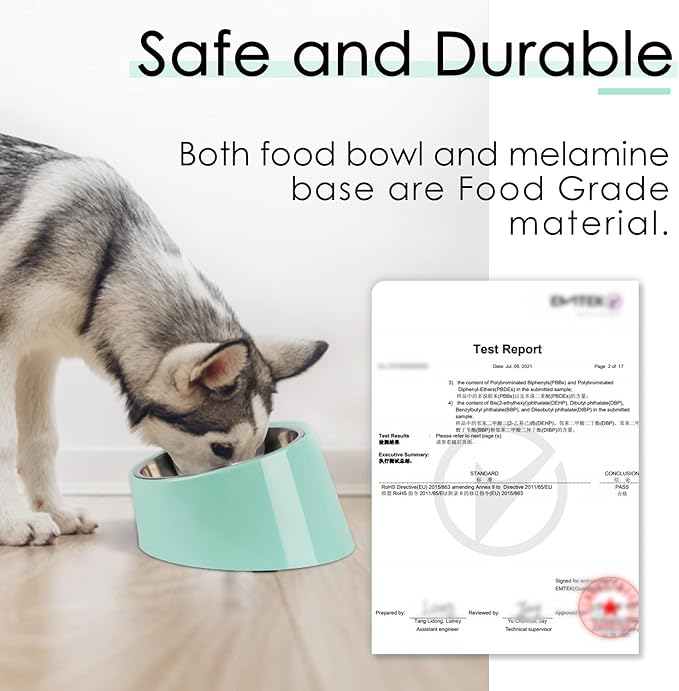 SuperDesign Mess Free 15° Slanted Bowl for Dogs and Cats, Tilted Angle Bulldog Bowl Dog Feeder, Non-Skid & Non-Spill, Easier to Reach Food M/1 Cup Teal
