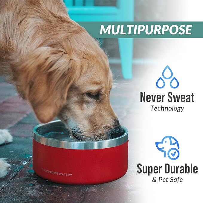 Coldest Dog Bowl - Anti Rust Metal, Non Slip, 3 Layers Insulated Stainless Steel Dog Bowls - Spill Proof & Heavy Duty - Water Bowl for Dogs, Cats & Pets, Dish Washer Safe (21 oz, Into The Beyond)