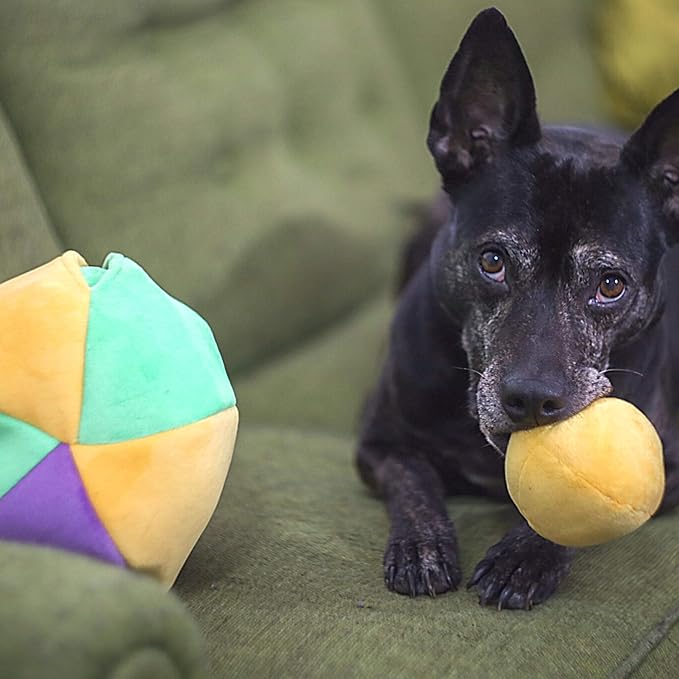 Midlee Hide a Ball Puzzle Dog Toy with 10 Plush Squeaker Balls (Small)