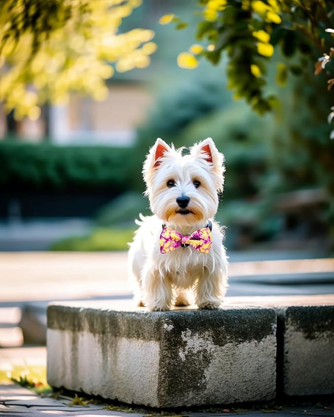 PET SHOW 10 Pack Tie Dye Small Dog Bow Ties Sliding Collar Attachments Puppy Cats Floral Bowties for Medium Dogs Gradient Colors Bowknots Party Holiday Pet Grooming Accessories(Small)