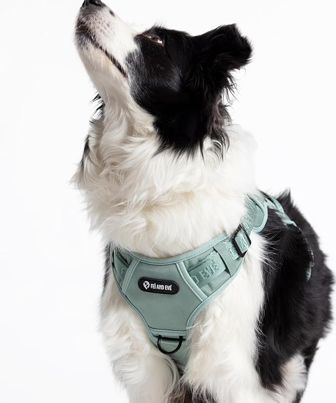 2025 New Edition, Fei & Eve Classic Dog Harness - Quick-Release Buckles | 3-Point No-Pull Control | Heavy-Duty 900D Nylon | Dual Safety Handles | Breathable Mesh | Adjustable Fit | X-Large,Green