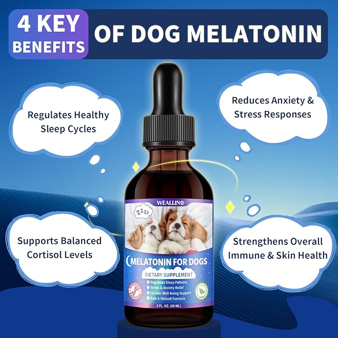 Melatonin for Dogs with L-Theanine & Chamomile | Anxiety Relief & Calming, Relaxation & Sleep Support Liquid Dog Melatonin | Fast-Absorbing & Bacon Flavor (2 PCS)