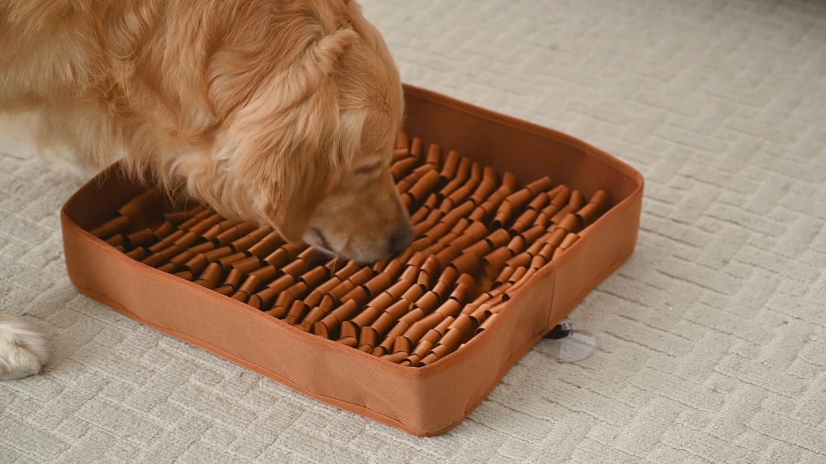 FunFurry Snuffle Mat for Dogs, Dog Puzzle Mat, Inter | Behavior & Trai - Image 8