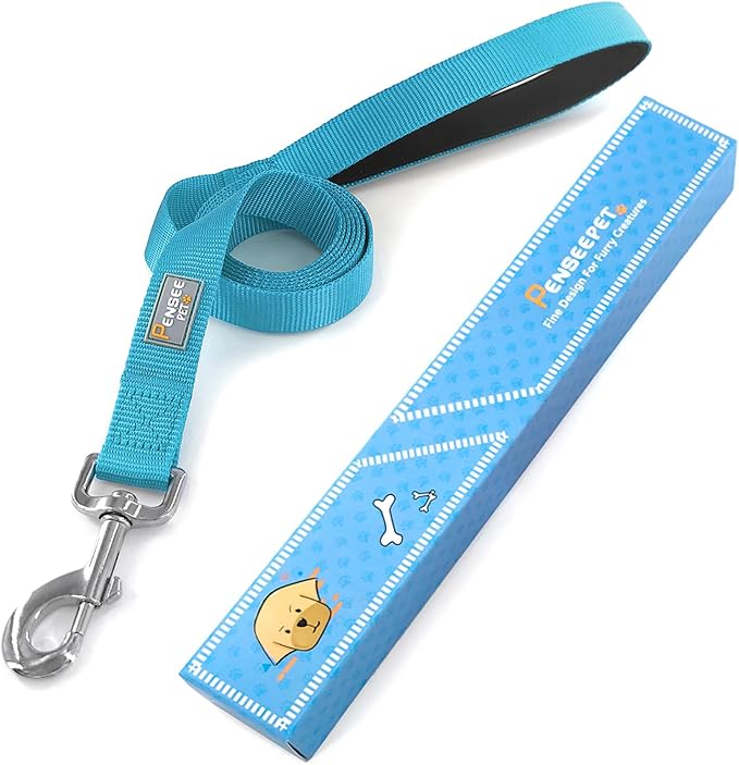 Basic Dog Leashes 6 FT Padded Handle Nylon Dogs Leashes for Small Dogs Light Blue