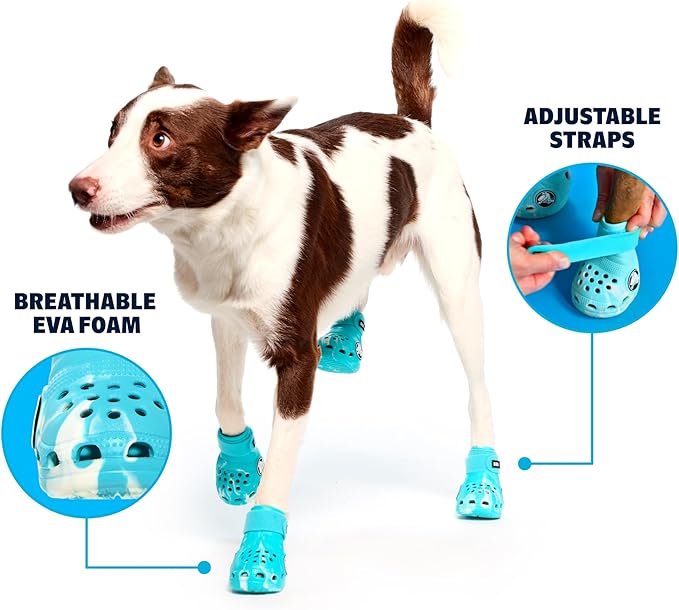 BarkBox Aqua Crocs Dog Shoes – Set of 4 Glow-in-The-Dark Dog Booties with EVA Foam, Adjustable Strap & Non-Slip Sole – Comfortable Paw Protection for Large Breeds (51-80 lbs)