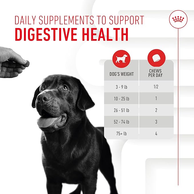 Royal Canin Digestive Dog Supplement Soft Chews for Adult Dogs, 60 Count (Pack of 2)