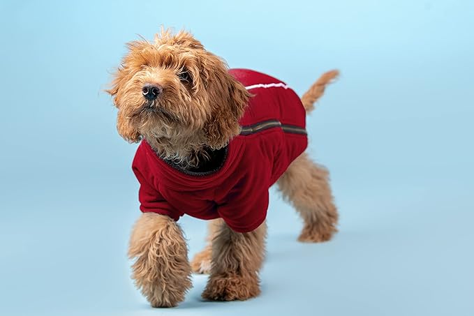 BoxDog Polar Fleece Warm Dog Jacket I Cold Weather Dog Coat | Dog Jackets Size XS, Small, Medium, Large, XLarge, XXL (Medium, Red)