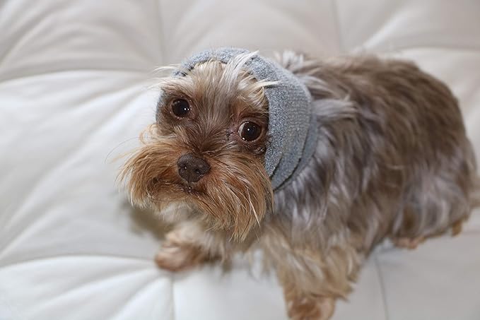 Pet Hoodz PHSG Pet Hoodies, Grey - Small