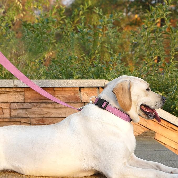 Dog Leash 6 FT Padded Handle Nylon Reflective Dogs Leashes for Small Dogs Pink