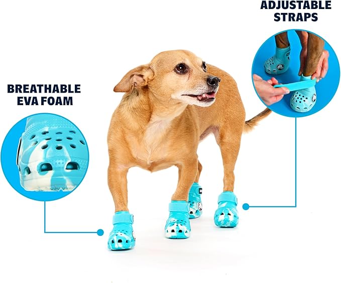 BarkBox Aqua Crocs Dog Shoes – Set of 4 Glow-in-The-Dark Dog Booties with EVA Foam, Adjustable Strap & Non-Slip Sole – Comfortable Paw Protection for Small Breeds (15–25 lbs)