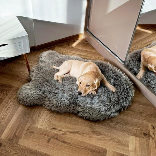 IHAPPYDOG Luxury Faux Fur Orthopedic Dog Bed, Memory Foam Dog Bed for Small, Medium, Large and XL Pets, Fluffy Pet Bed with Waterproof and Washable Cover (Grey, 40"x25")