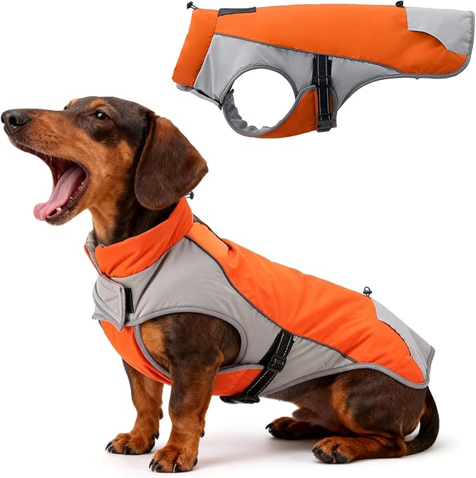 Warm Dog Cold Weather Coats - Waterproof Dog Winter Clothes with Reflective Straps, Adjustable Buckle & Leash Hole for Poodle, Dachshund,Border Terrier, Yorkshire Terrier，Orange & Gray S