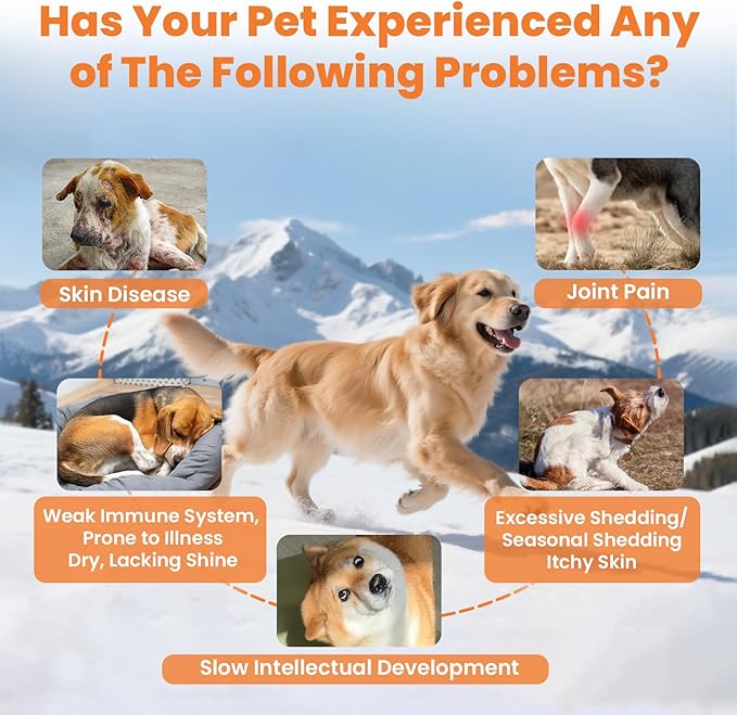 VUN Salmon Fish Oil for Dogs & Cats,Unflavored Omega 3 Oil Supplement for Itchy Dry Skin,Allergy Relief,Joints&Paws,Brain,Eyes&Heart Treatment,Wild Liquid Fish Oil by Pump with EPA DHA–16 oz