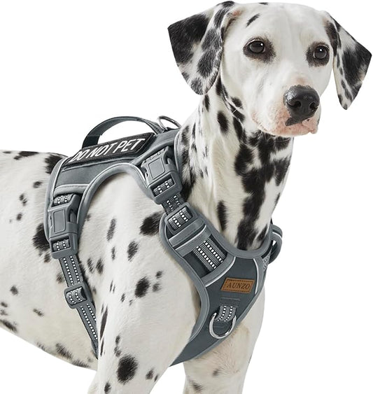 Service Dog Vest Harness with 2 Velcro Patches, No Pull Dog Harness for Walking Training Hiking, Metal D-Rings Easy on/Off Neck Buckle Reflective Strips Soft Padded Handle, Gray