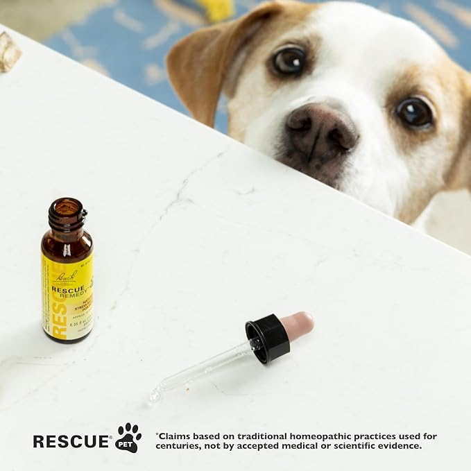 Bach Rescue Remedy Pet Dropper for Dogs - 20 mL, Pack of 2 - Stress & Tension Support for Dogs Natural Flower Essences - Sedative-Free, Homeopathic Liquid Formula - for All Breeds, Ages & Weights