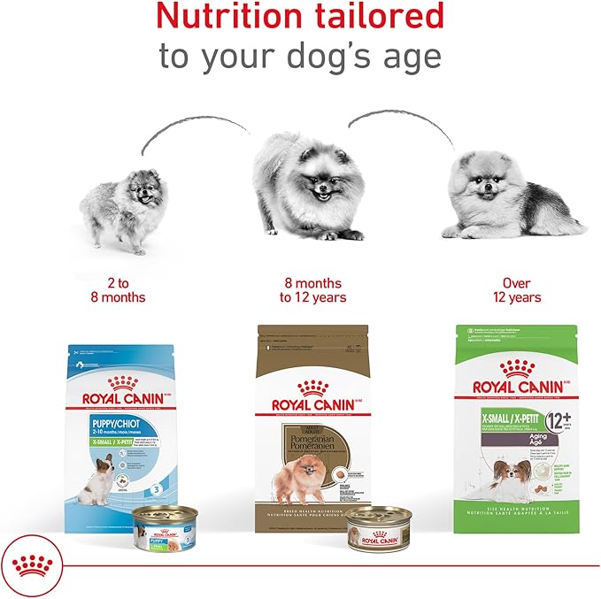 Royal Canin Breed Health Nutrition Pomeranian Adult Dry Dog Food, 10 lb Bag