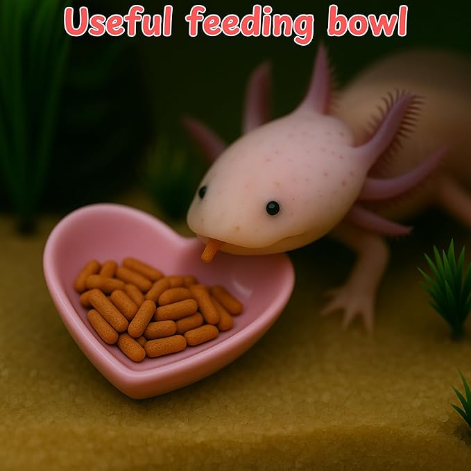 Axolotl Hammock Ledge for Aquarium Tank Accessories and Feeding Dish, Axolotl Hammock with Ceramic Tray Feeder Bowl, Axolotls Accessories for Tank, Bearded Dragon Reptiles Supplies (Pink, 12x6 in)
