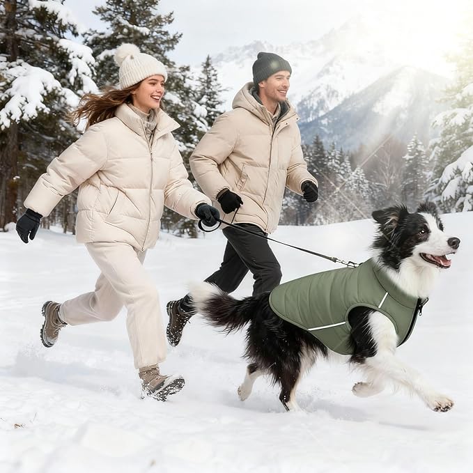 Dog Winter Coat - Waterproof Cold Weather Coat with Thick Padding, Windproof Dog's Snow Jacket with Neck & Tail Drawstrings, Reflective Puppy Jacket - Small Dog Coats, Olive Green XXL