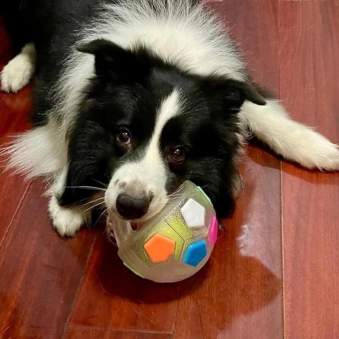 TPR Dog Soccer Ball, Animal Dog Toys Soccer Ball TPR Interactive Cat Balls, Dogs Calming Balls with Handle, Toys Indestructible for Aggressive Chewers, Squeaky Floating for Dogs