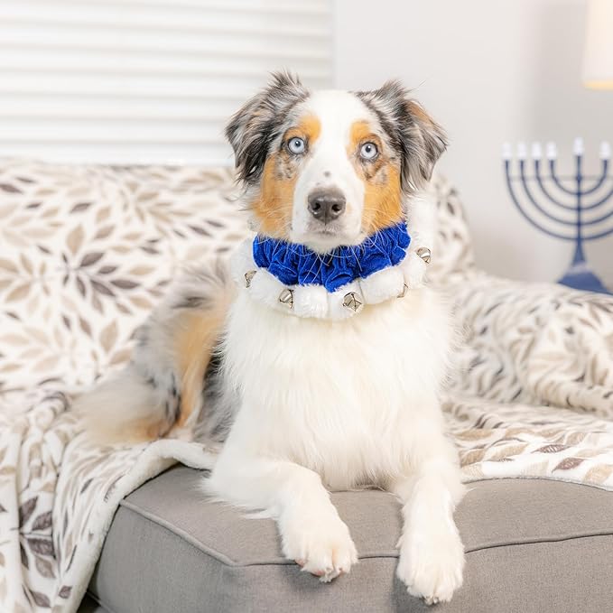 Huxley & Kent Ruff Pet Scrunchy | Hanukkah (Extra-Small) | Festive Christmas/Holiday Neckwear for Dogs/Cats | Fun Stretchable Costume Accessory | Soft Collar with Bells