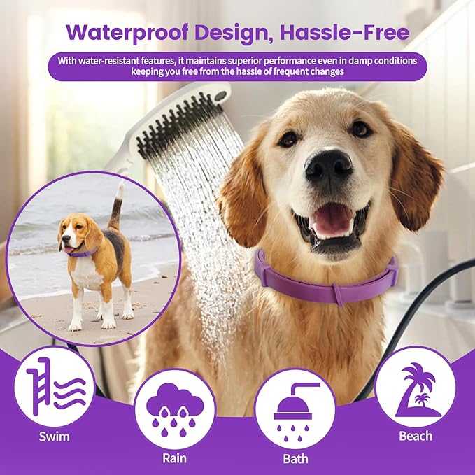 Calming Collar for Dogs – Fast-Acting, Lasts 60 Days, Choke-Free Design, Pheromone-Infused for Anxiety & Stress Relief – Dog Pheromone Collar for Small, Medium & Large Dogs (2Aurora+1Rainbow, 3 Pack)