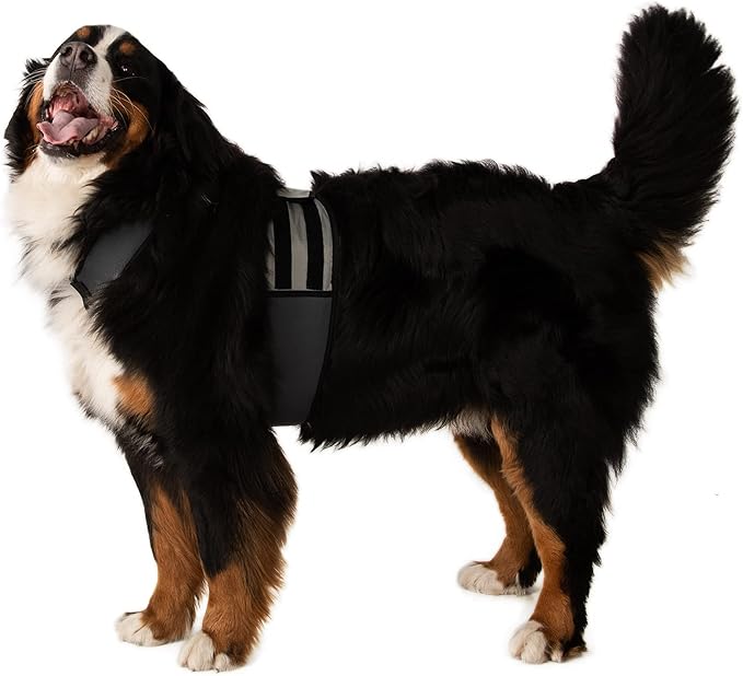 CoolerDog Dog Cooling Vest and Cooling Collar - Ice Vest for Dogs (XL)